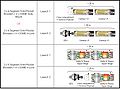 Figure 6 Preferred ITV Designs.jpg